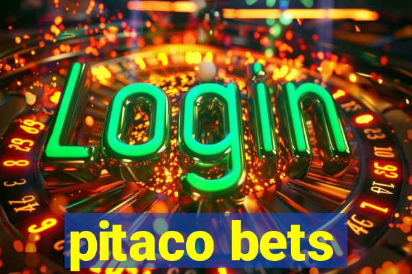 pitaco bets